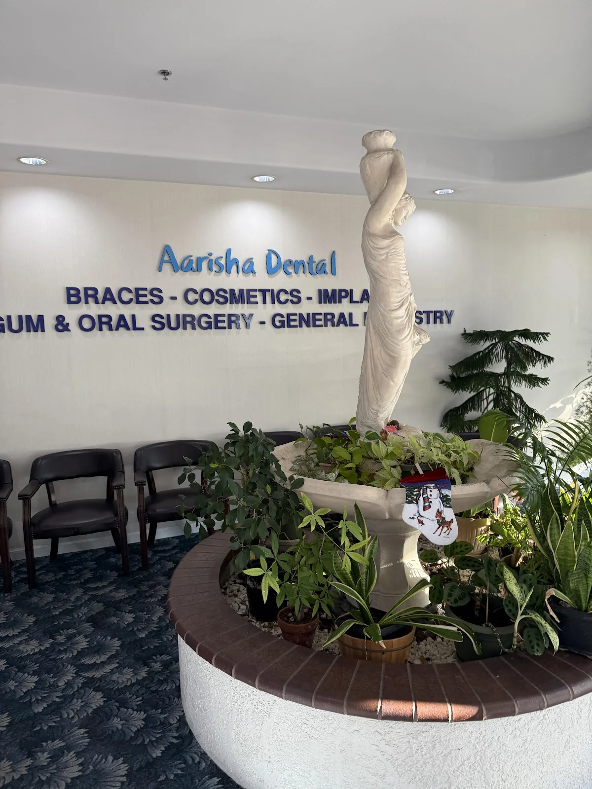 Aarisha Dental - Jolly Shah DDS SJ
