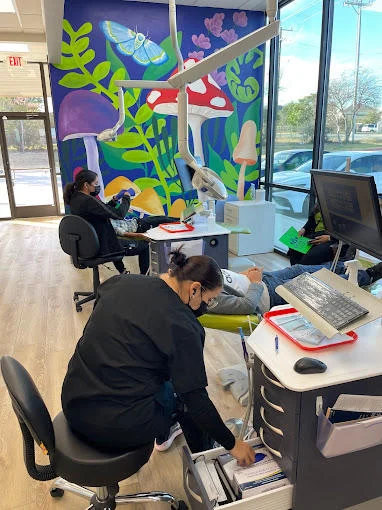 Bexar Orthodontists and Pediatric Dentists - 2