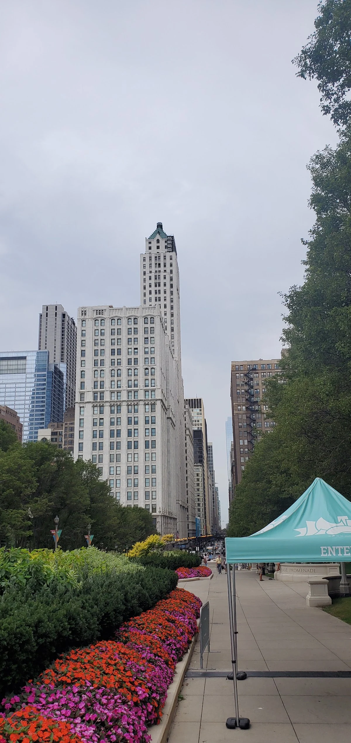 Chicago Smiles