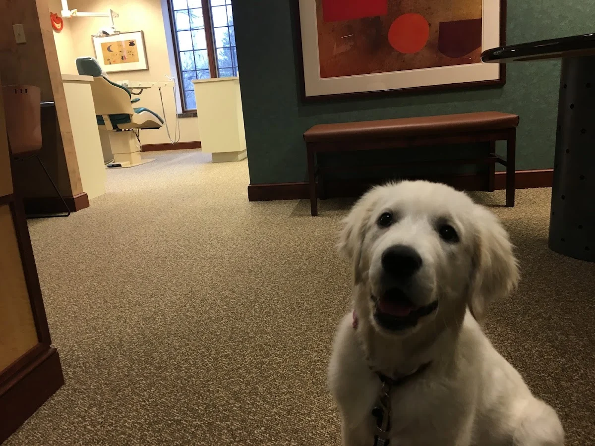Dr. Todd Connell Orthodontics - Brookfield - 2