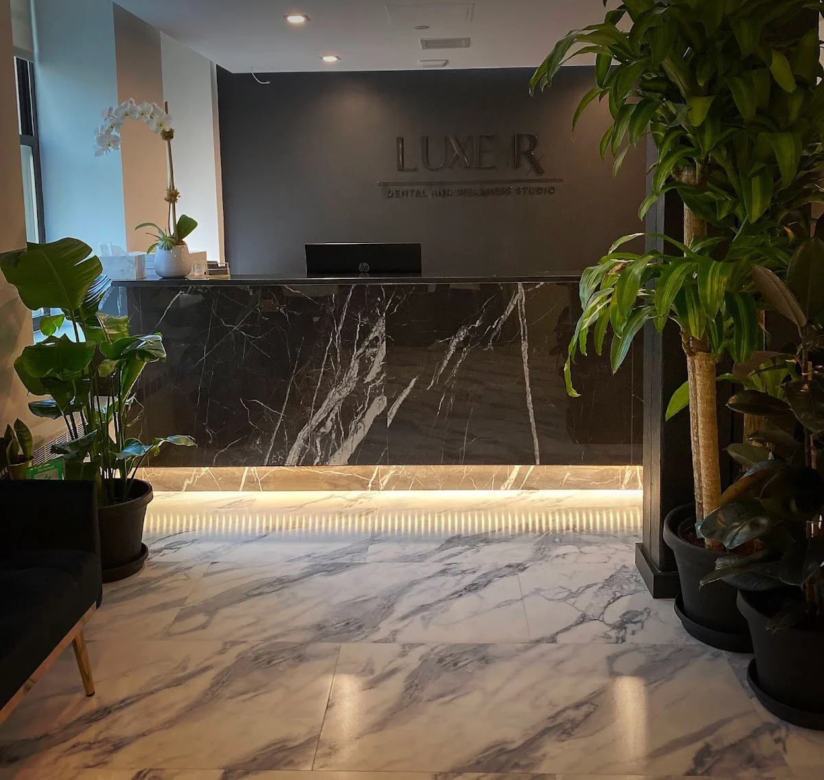 Luxe Rx Dental and Wellness Studio NYC