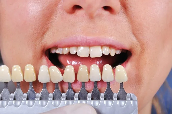 Magnolia Family Dental Care