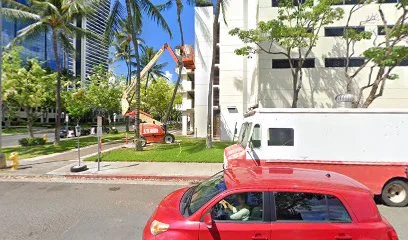 Oahu Orthodontics