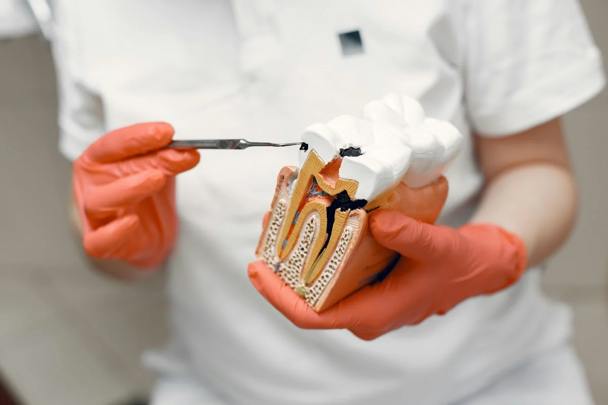 Soulard Family Dentistry - St. Louis, MO
