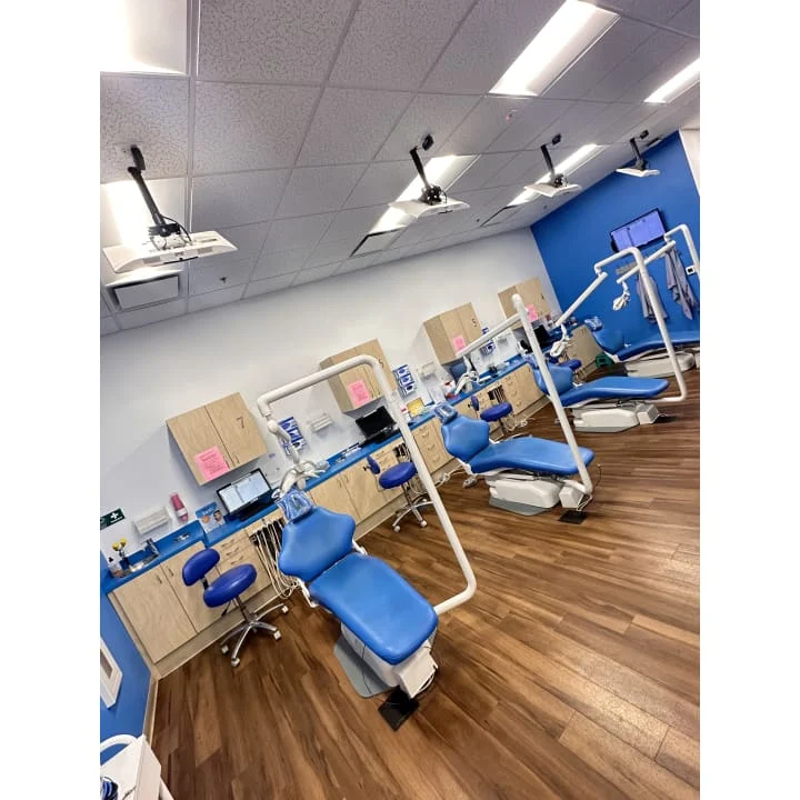 Western Dental & Orthodontics Kids